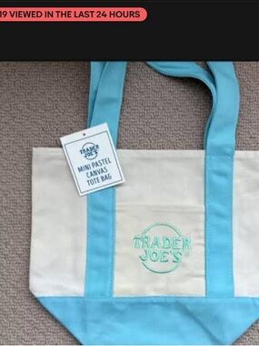 Trader Joe's Mini Canvas Tote in Light Blue and Cream